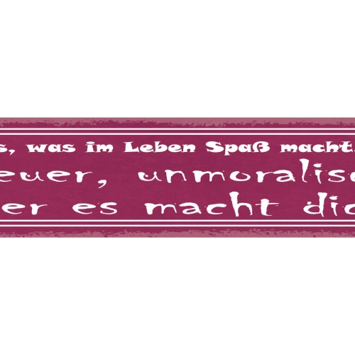 Schild Alles Was Im Leben Spaß Macht Ist: Teuer Unmoralisch Oder Es Macht Dick