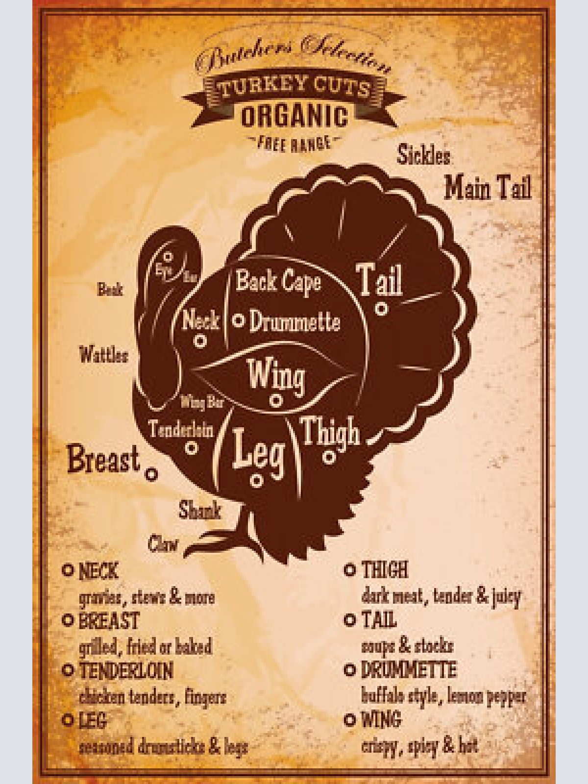 Nostalgie schild turkey cuts truthahn diagr. 12x18 / 20x30 / 30x40 blech od.holz