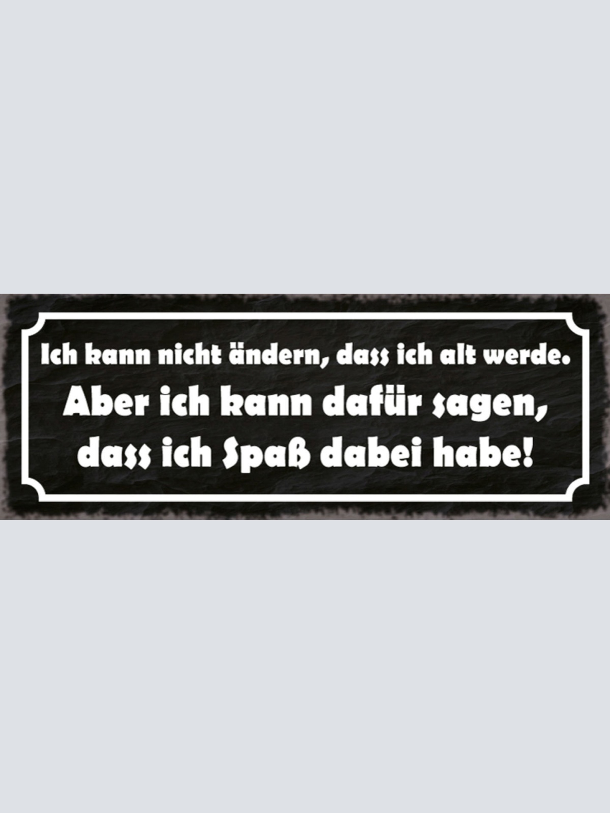 Schild Ich Kann Nicht Ändern Das Ich Alt Werde Aber Kann Dafür Sorgen Spaß Habe