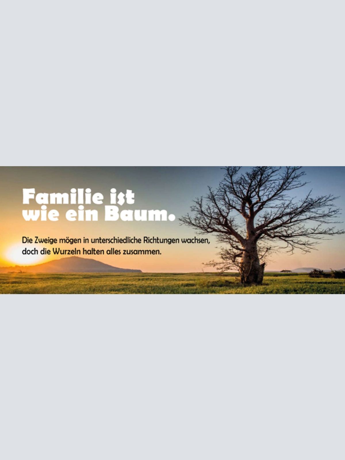 Schild Familie Ist Wie Ein Baum Zweige In Unterschiedliche Richtungen Wurzeln