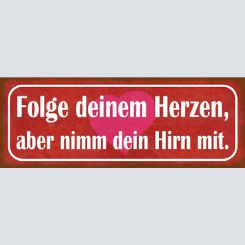 Schild folge deinem herzen aber nimm dein hirn mit denken 27x10 blech od.holz