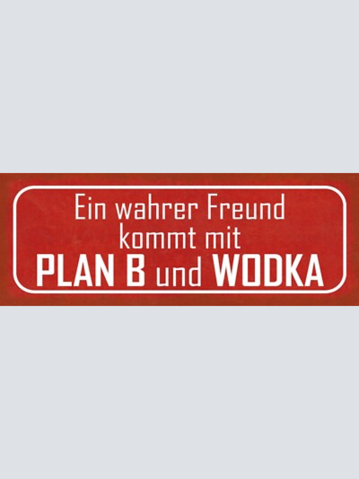 Schild ein wahrer freund kommt mit plan b & wodka alkohol 27x10 blech od.holz
