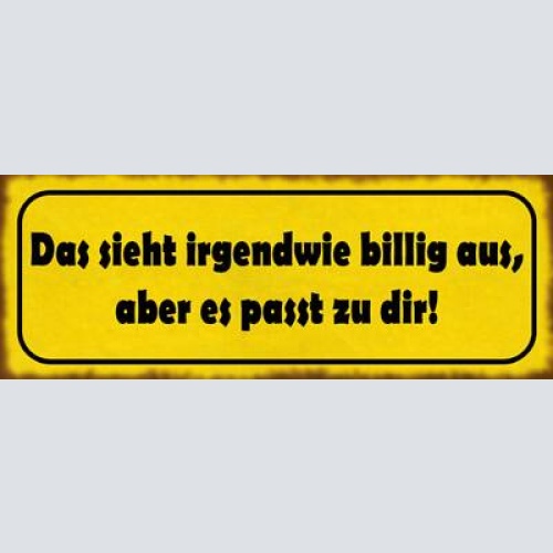 Schild das sieht irgendwie billig aus aber es passt zu dir kleidung 27x10