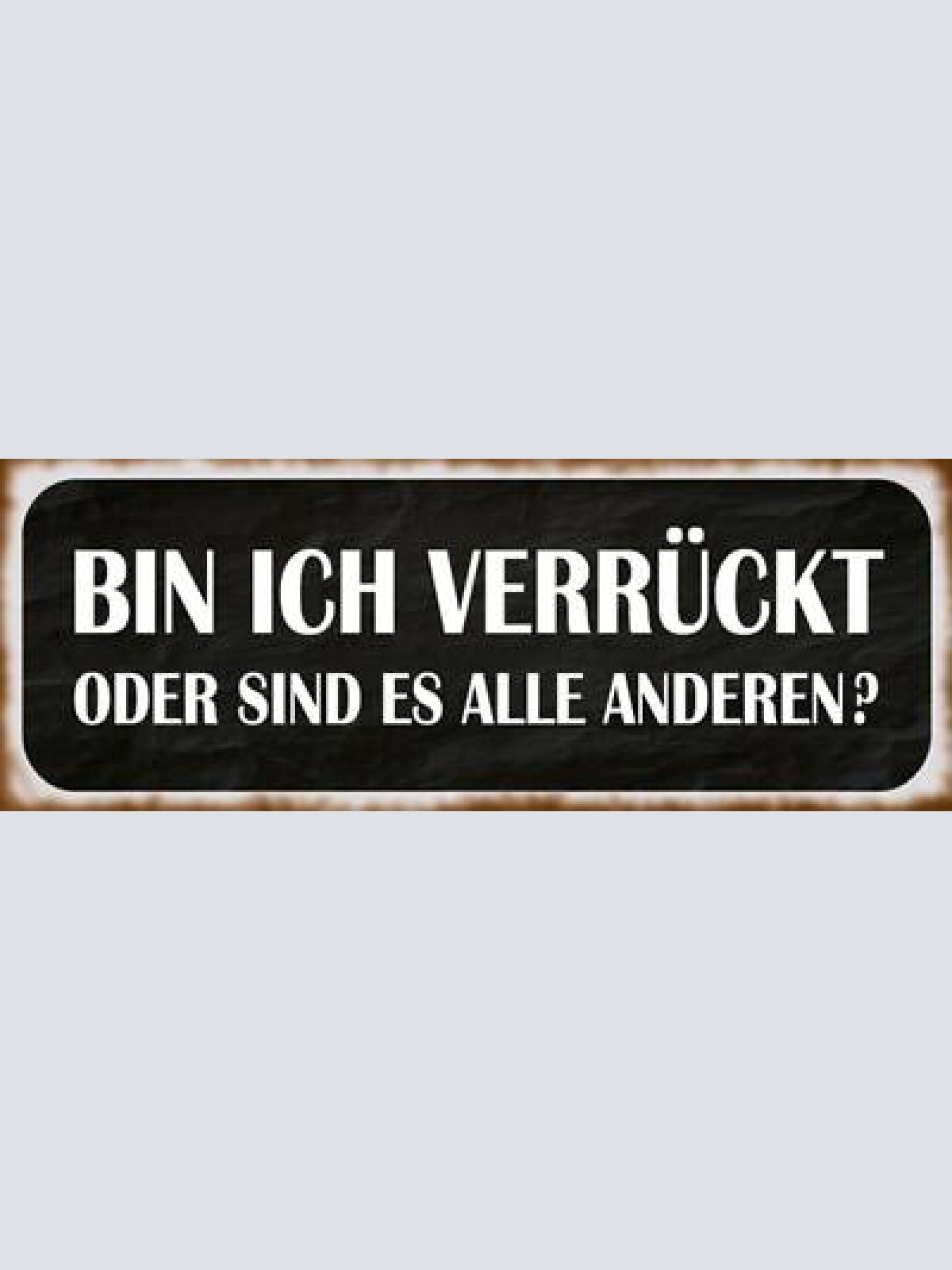 Schild bin ich verrückt oder sind es alle anderen normal 27x10 blech od.holz