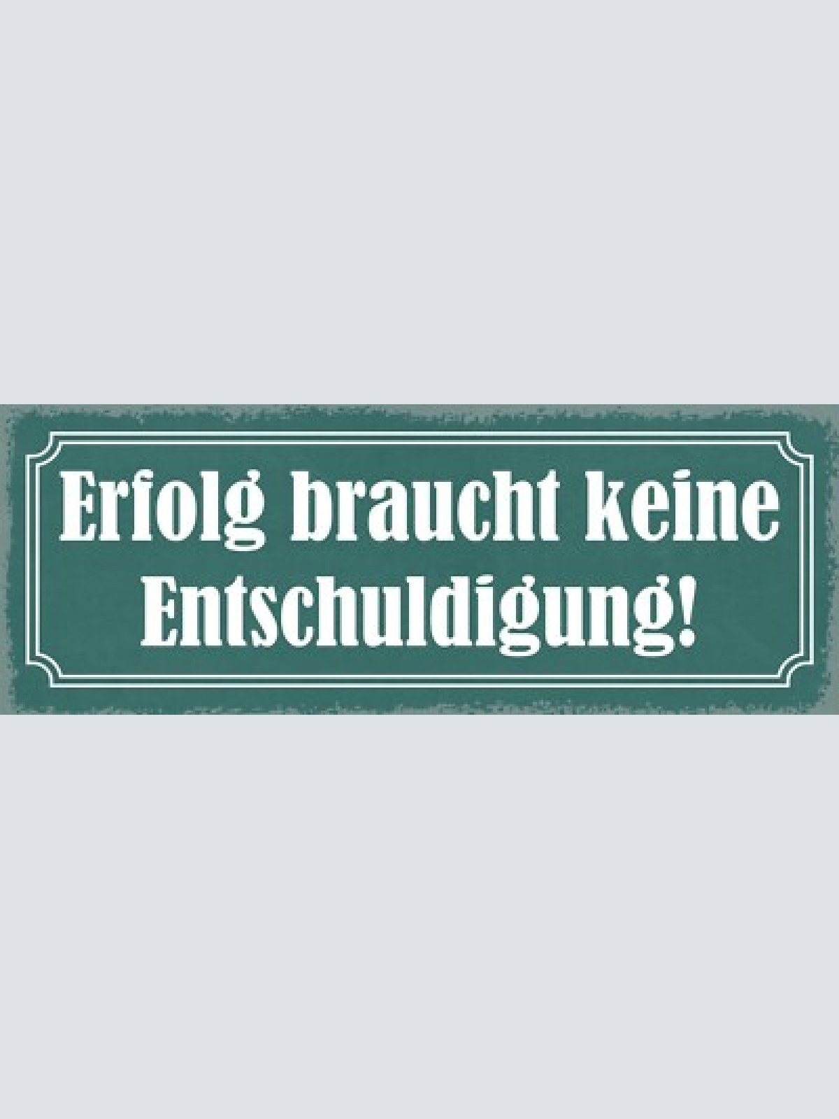 Schild erfolg braucht keine entschuldigung erfolgreich neid 27x10 blech od.holz