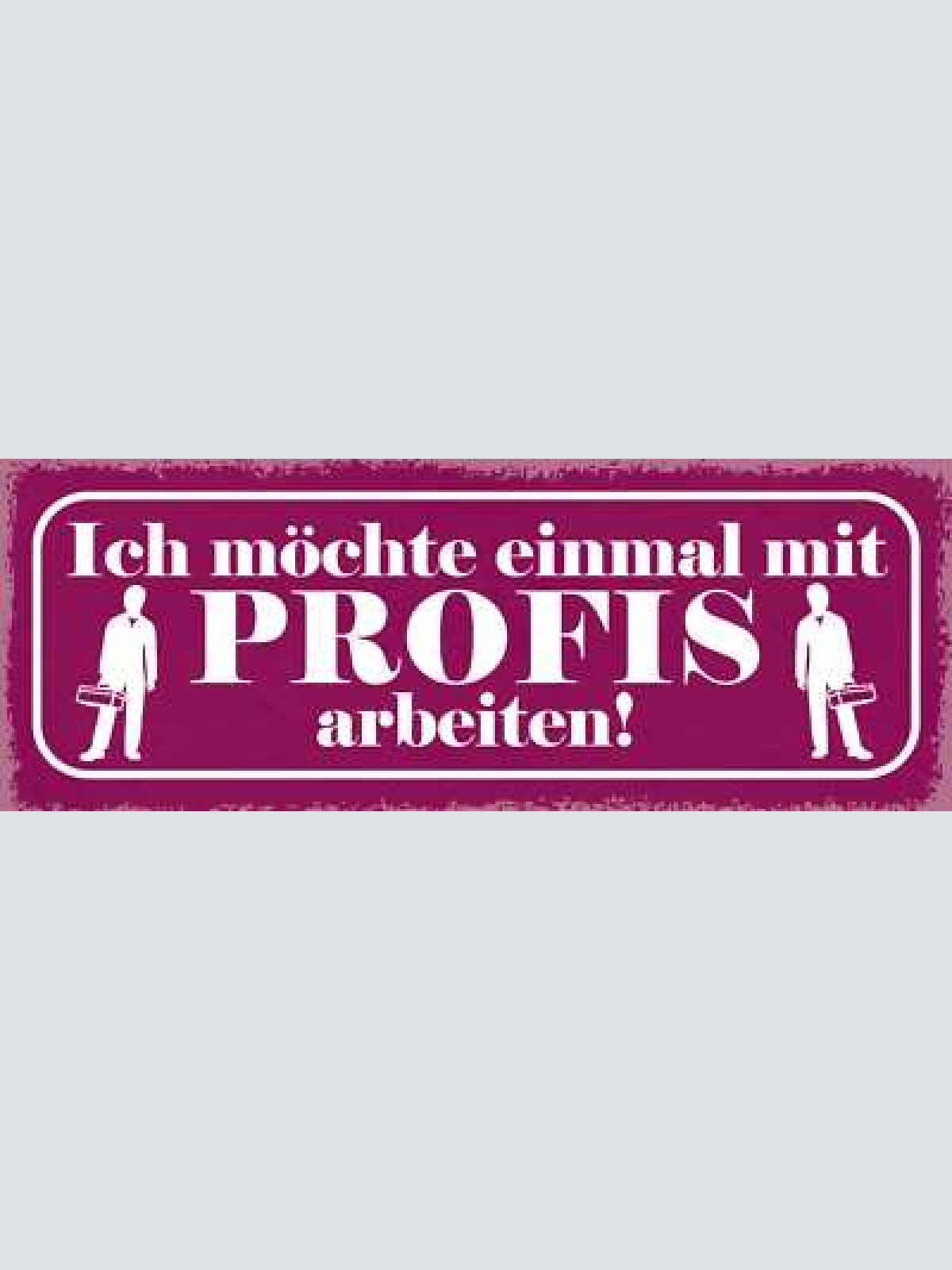 Schild ich möchte einmal mit profis arbeiten arbeit job 27x10 blech od.holz