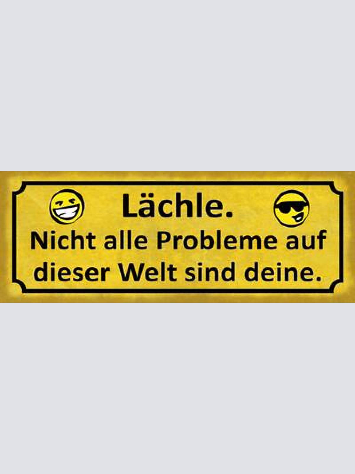 Schild lächle nicht alle probleme auf der welt sind deine 27x10 blech od.holz