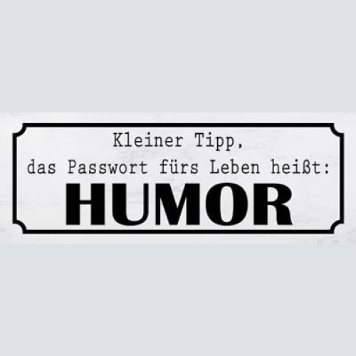 Schild kleiner tipp das passwort fürs leben heißt humor spaß 27x10 blech od.holz