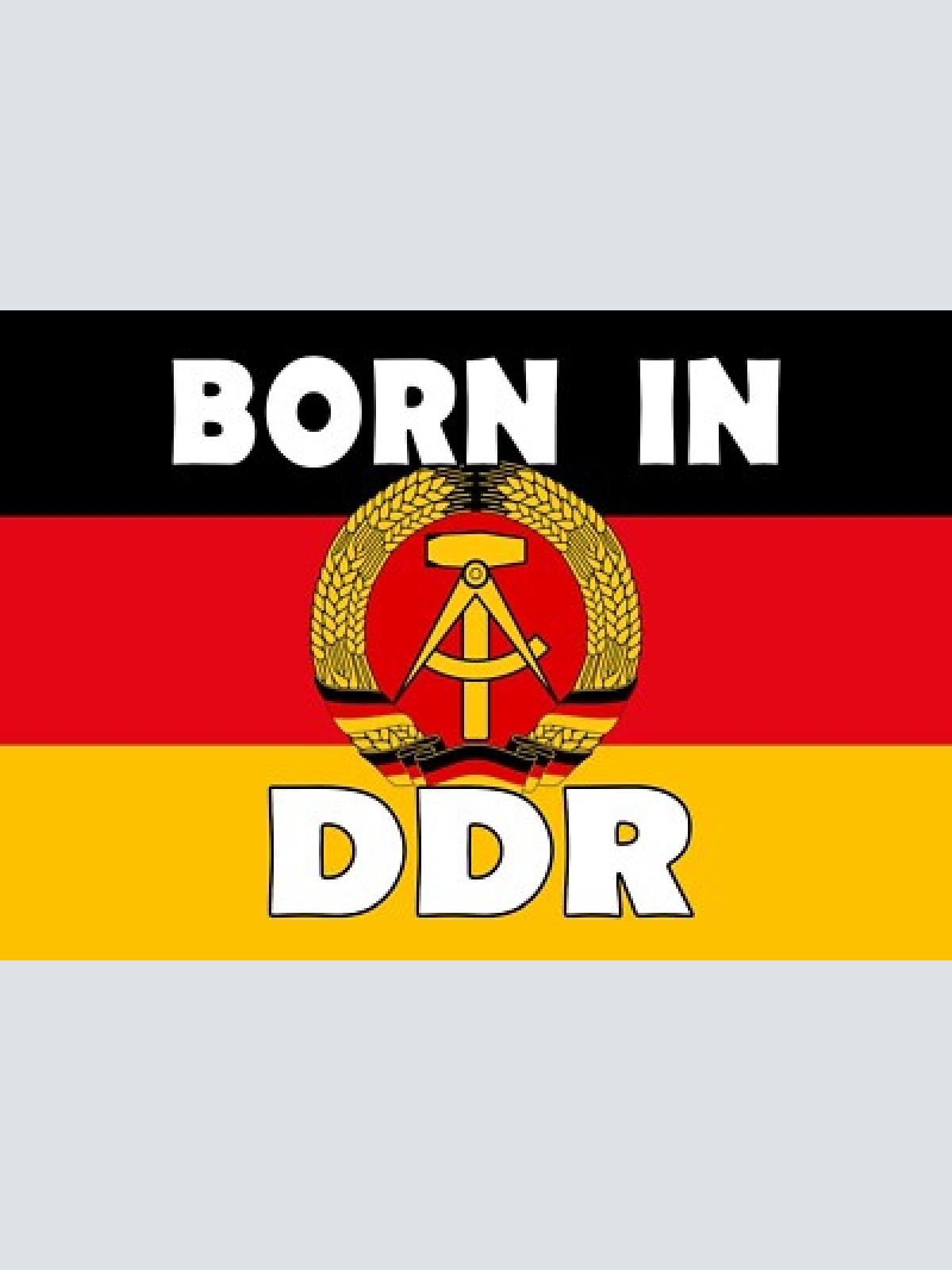 Schild born in ddr 12x18 / 20x30 / 30x40 blech od. holz