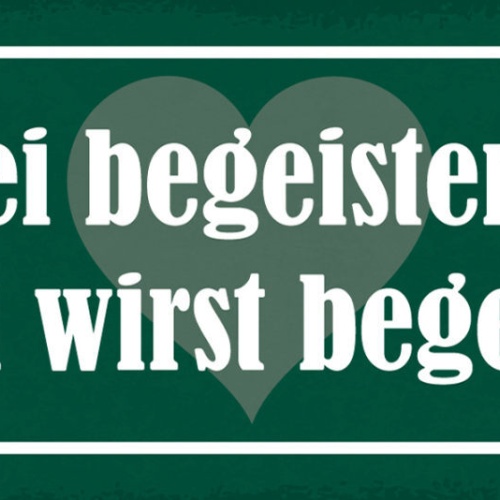 Schild Sei Begeistert & Du Wirst Begeistern Ausstrahlung 27x10 Blech od.Holz