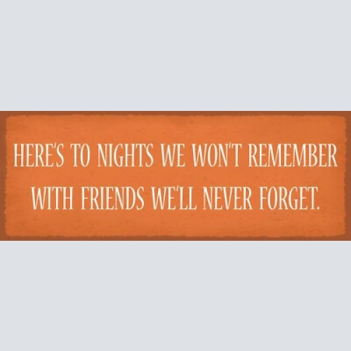 Schild here's to nights we won't remember with friends we'll never forget 27x10