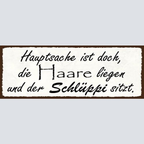 Schild hauptsache ist doch die haare liegen & der schlüppi sitzt schlüpfer 27x10