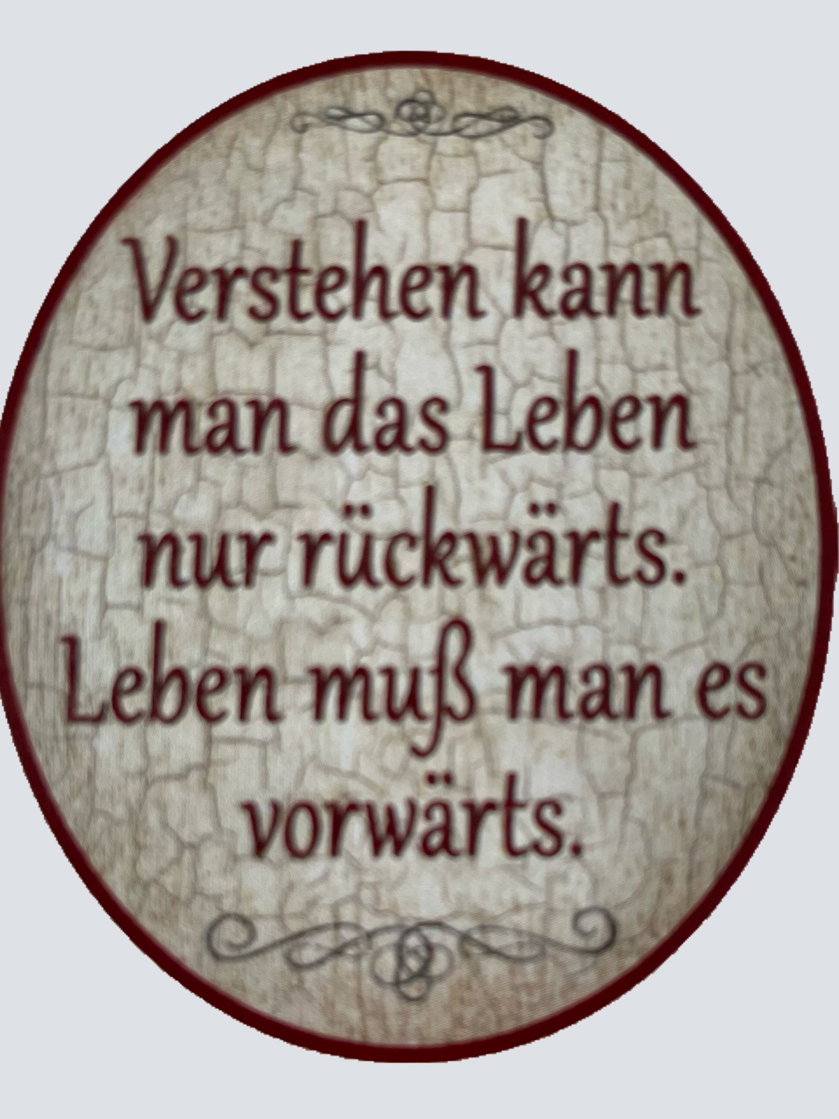 Nostalgie Holzschild Verstehen Kann Man Das Leben Nur Rückwärts Schild