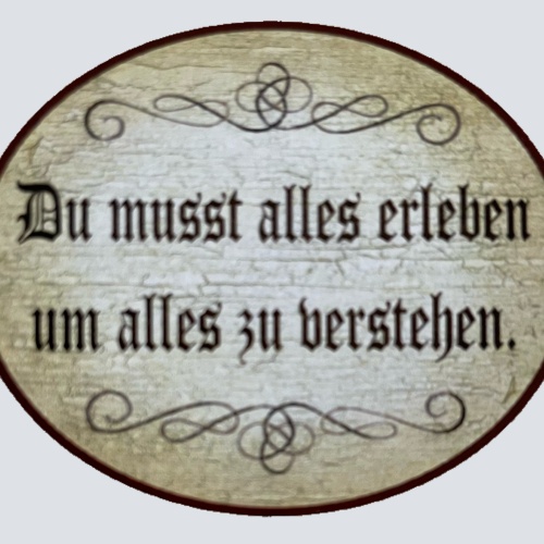 Nostalgie Holzschild Du Musst Alles Erleben Um Alles Zu Verstehen Schild
