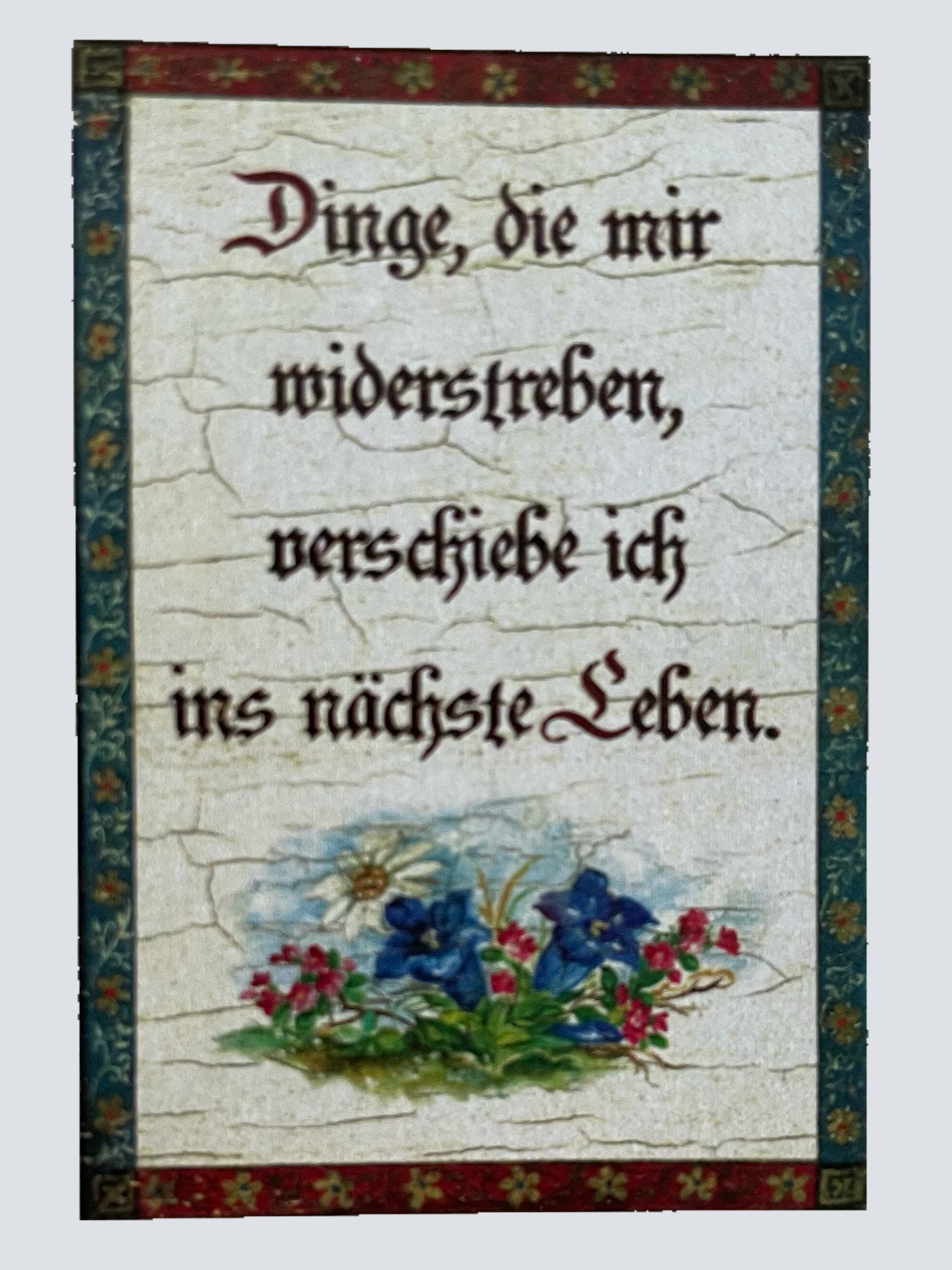 Nostalgie Holzschild Dinge Dir Mir Wiederstreben Verschiebe Nächste Leben Schild