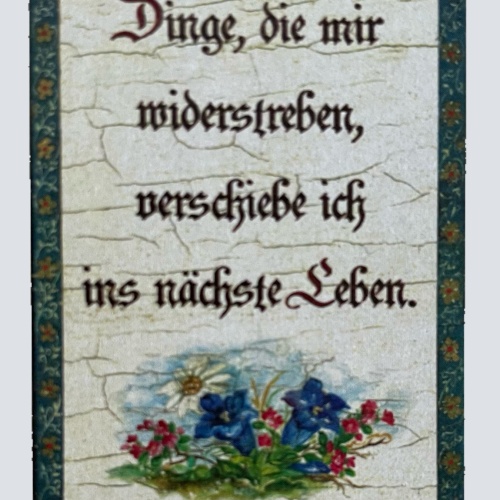 Nostalgie Holzschild Dinge Dir Mir Wiederstreben Verschiebe Nächste Leben Schild