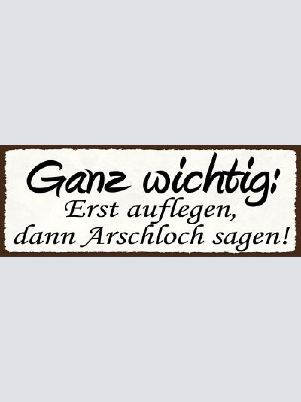 Schild ganz wichtig erst auflegen dann arschloch sagen  27x10 blech od.holz
