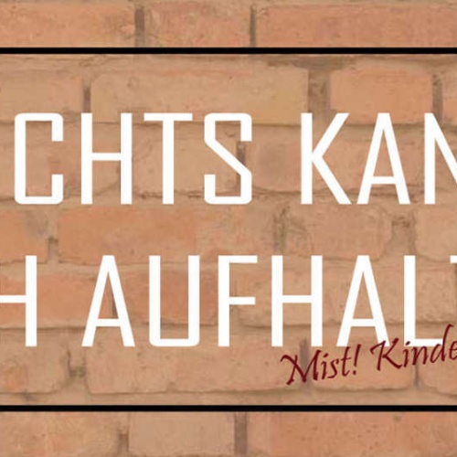 Schild Nichts Kann Mich Aufhalten Mist Kindersicherung 27x10 Blech od.Holz