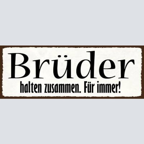 Schild brüder halten zusammen für immer geschwister familie 27x10 blech od.holz