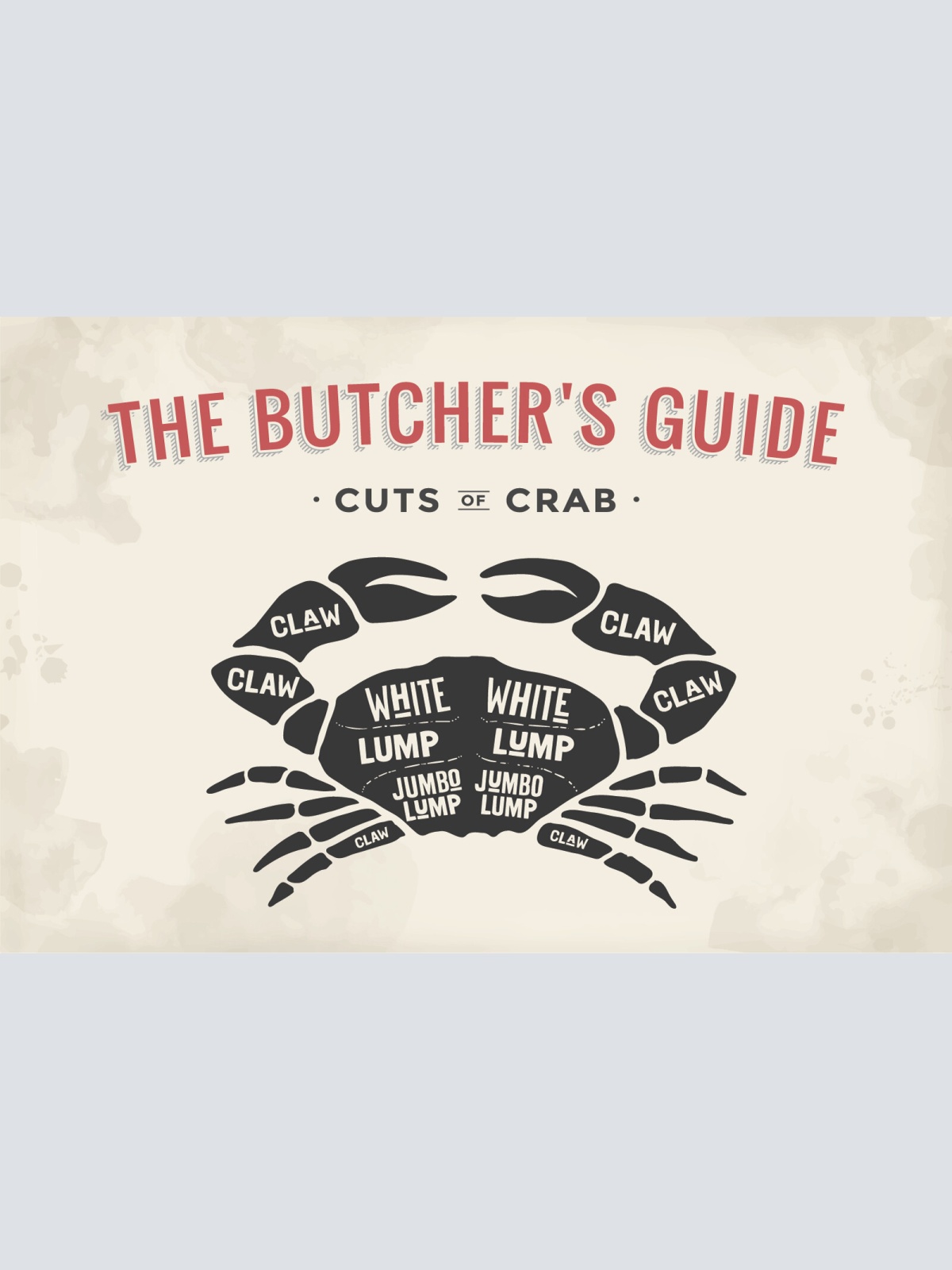 Nostalgie Schild Cuts of Crab Krabbe Diagr. 12x18 / 20x30 / 30x40 Blech od.Holz