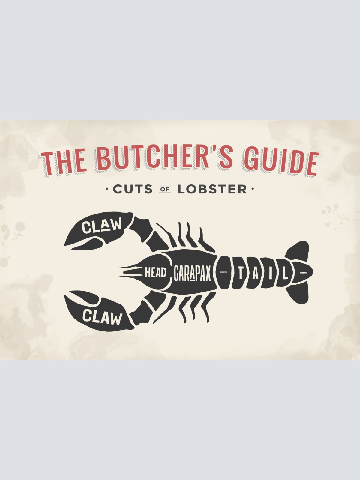 Nostalgie Schild Cuts of Lobster Hummer Dgr. 12x18 / 20x30 / 30x40 Blech od.Holz