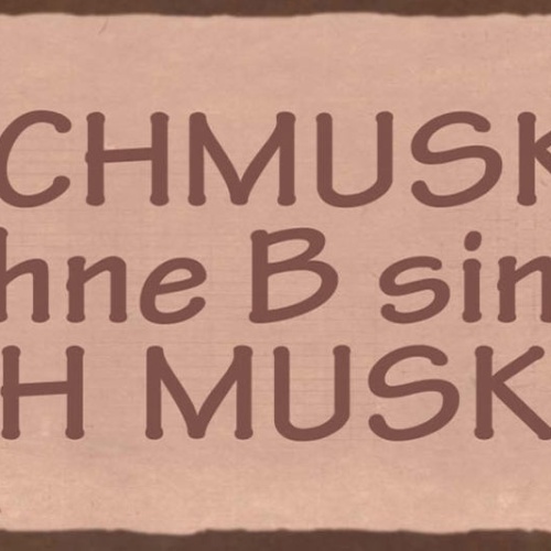 Schild Bauch Muskeln Ohne B Sind Auch Muskeln Training 27x10 Blech od.Holz