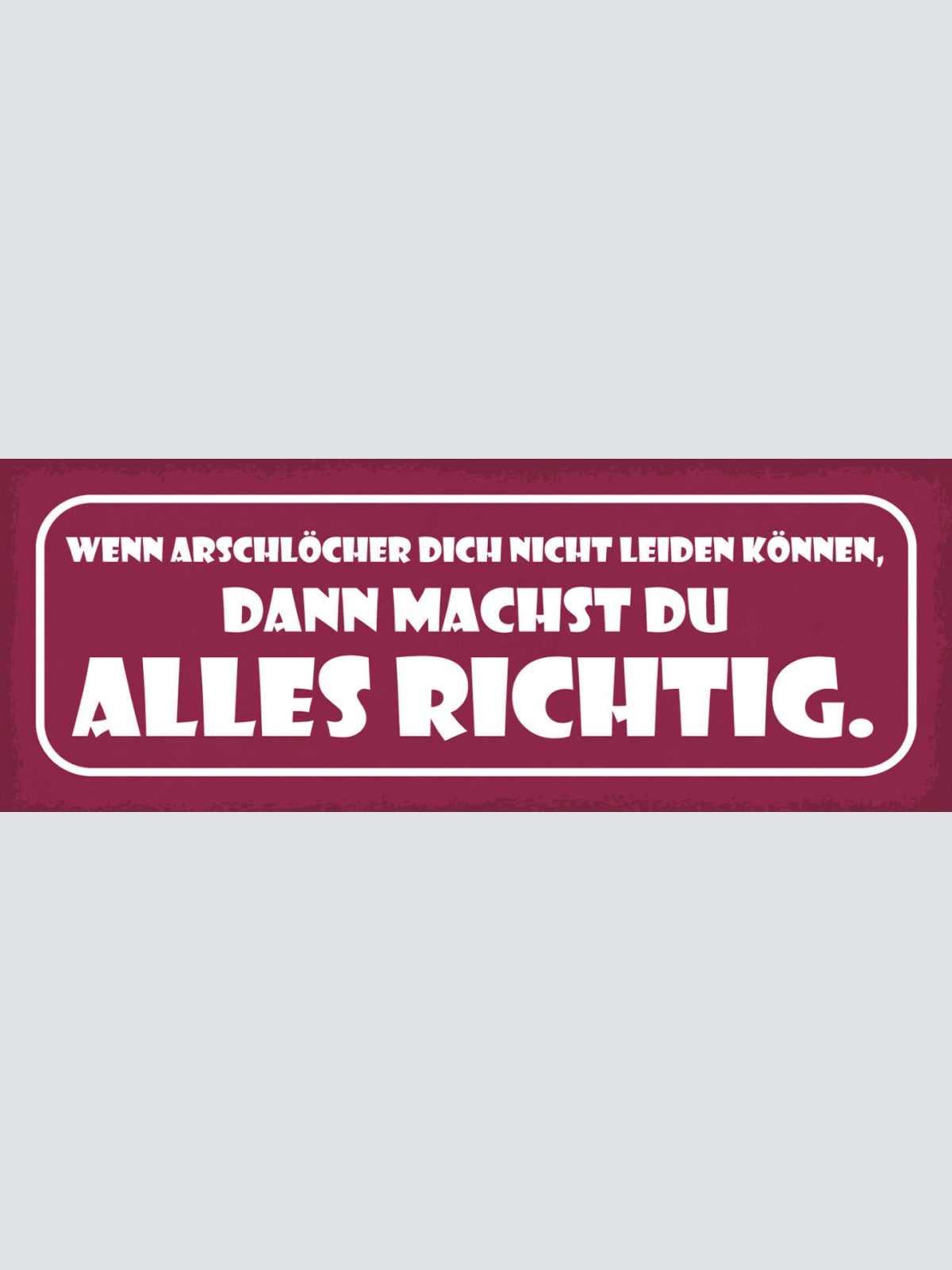 Schild Wenn Arschlöcher Dich Nicht Leiden Können Machst Du Alles Richtig 27x10