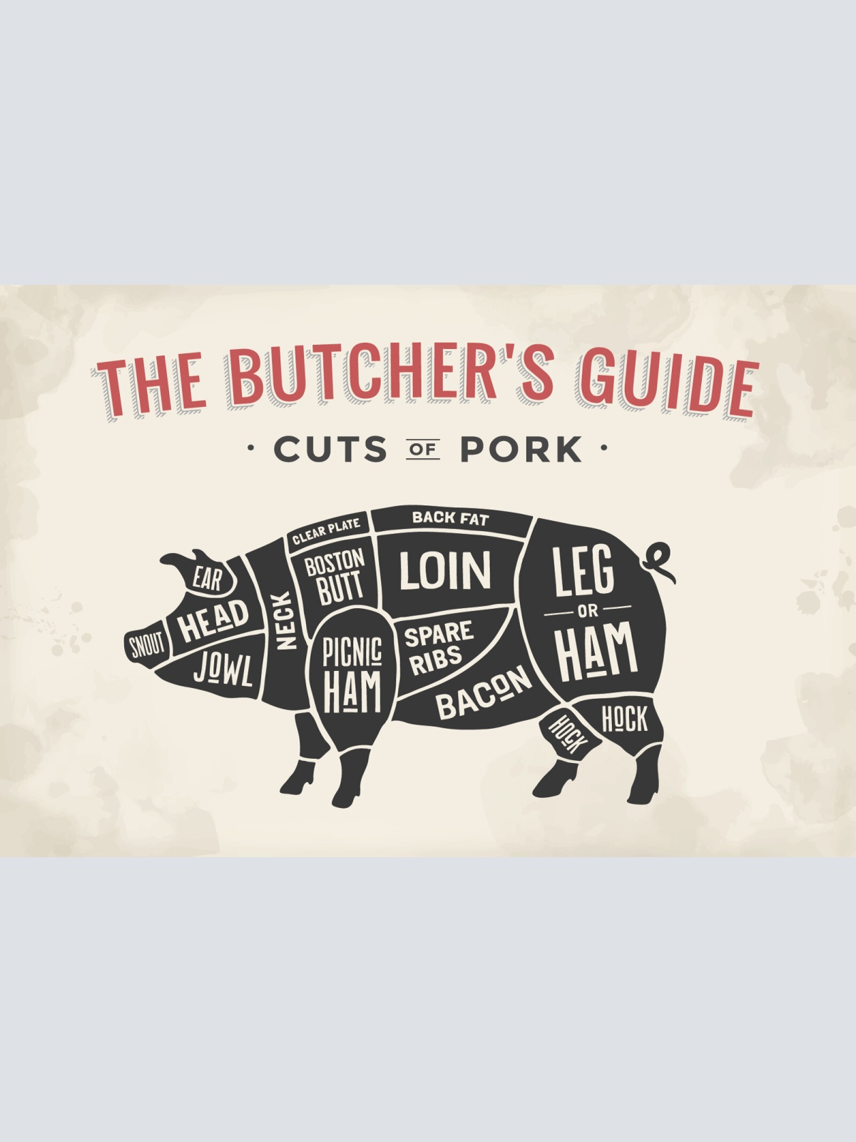 Nostalgie Schild Cuts of Pork Schwein Diagr. 12x18 / 20x30 / 30x40 Blech od.Holz