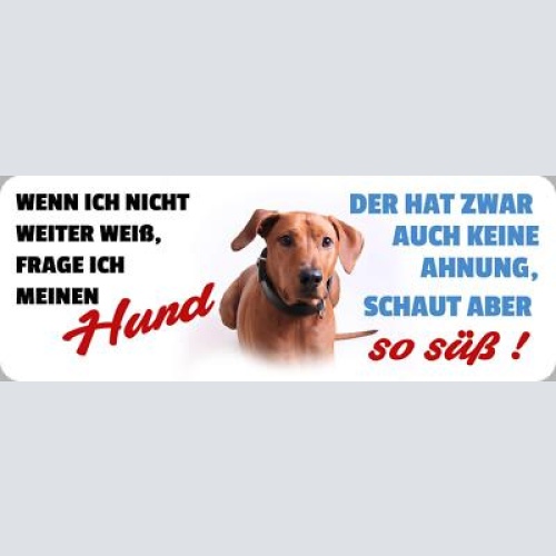 Schild wenn ich nicht weiter weiß frage ich meinen hund keine ahnung schaut süß