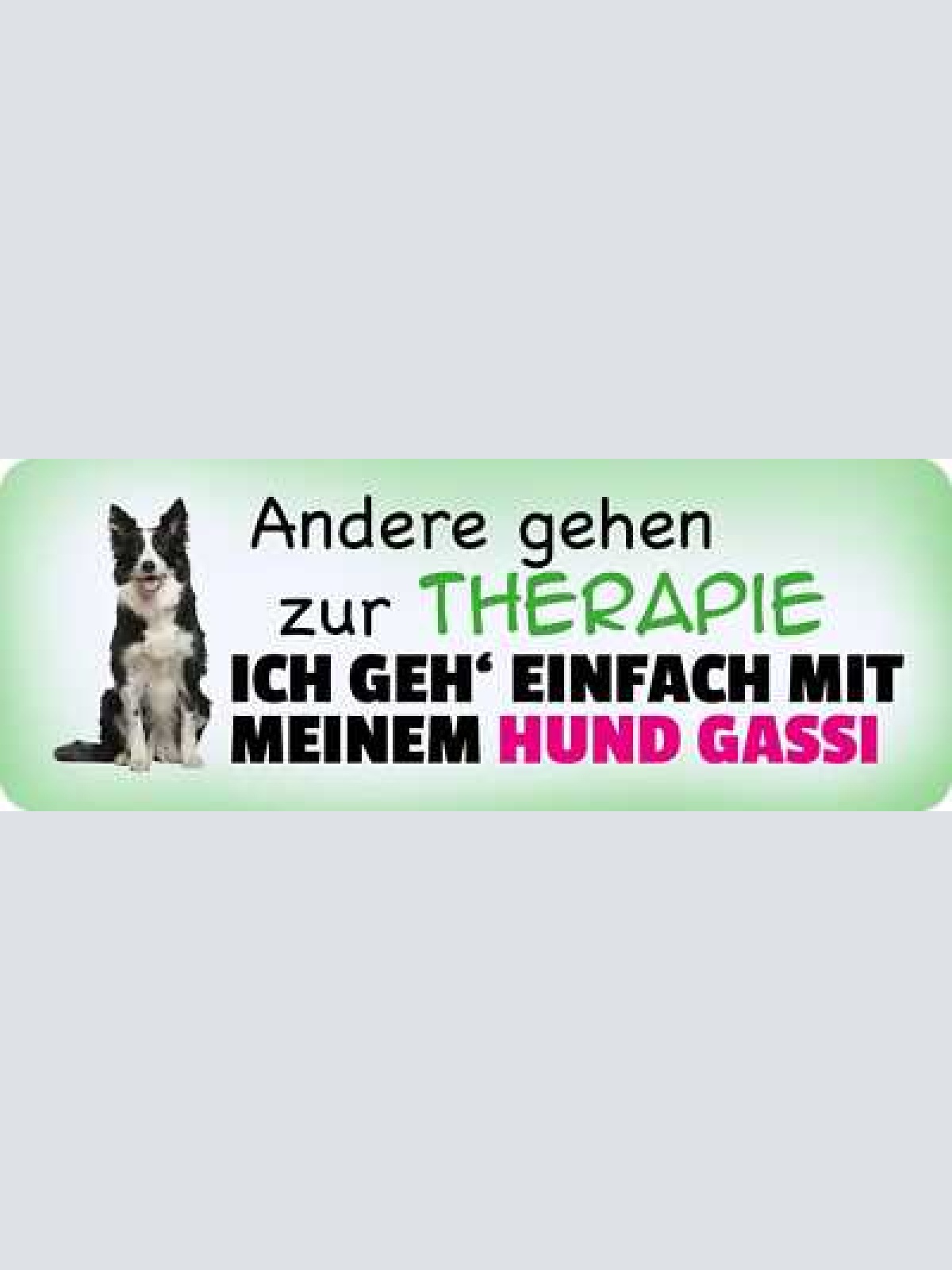 Schild andere gehen zur therapie ich geh einfach mit meinem hund gassi 27 x 10