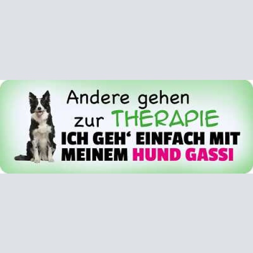 Schild andere gehen zur therapie ich geh einfach mit meinem hund gassi 27 x 10