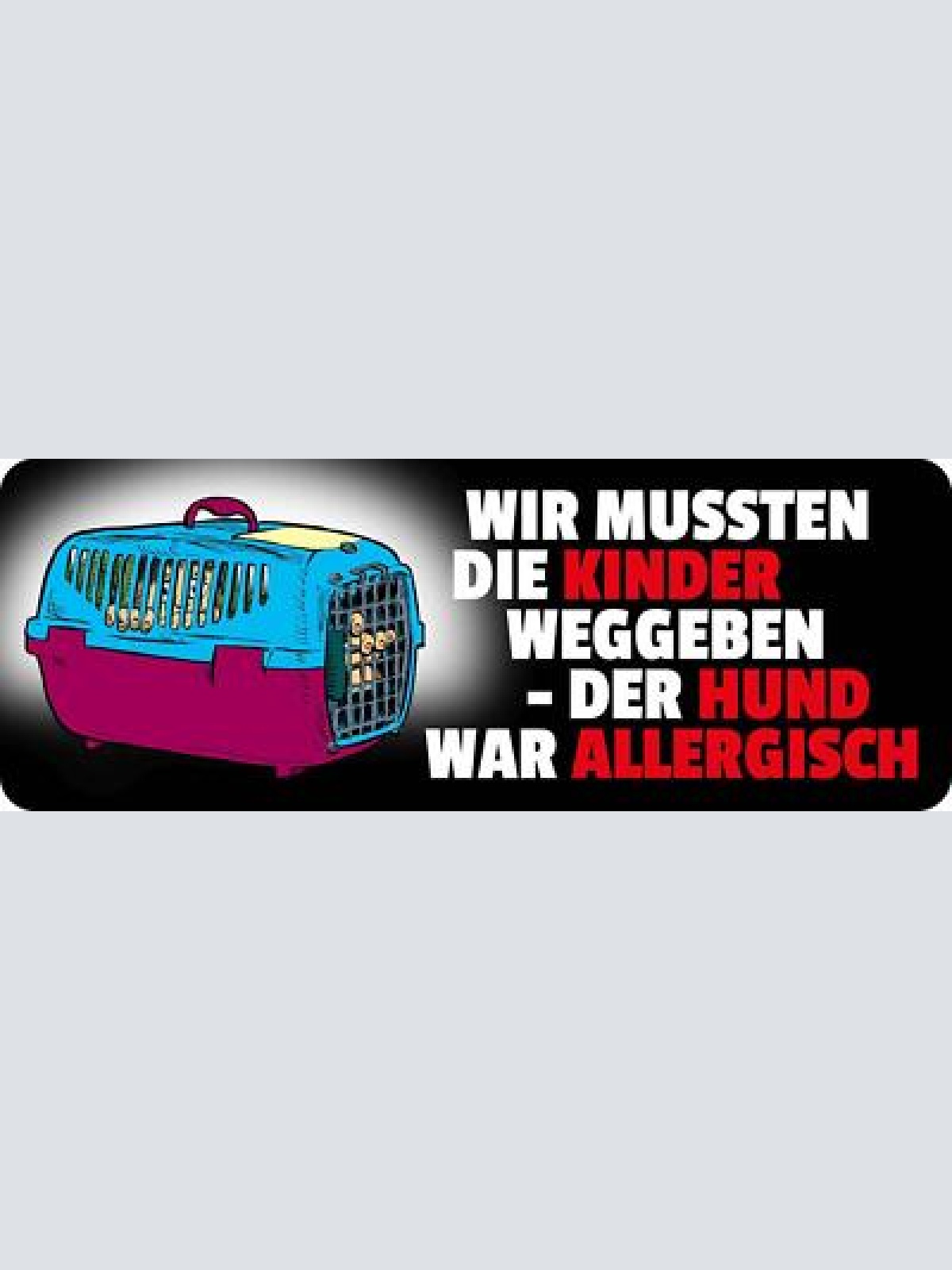 Schild wir mussten die kinder weggeben der hund war allergisch 27 x 10