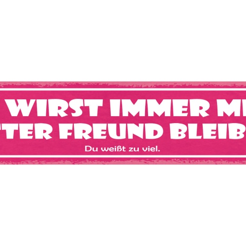 Schild Du Wirst Immer Mein Bester Freund Bleiben Du Weißt Zu Viel 46 x 10