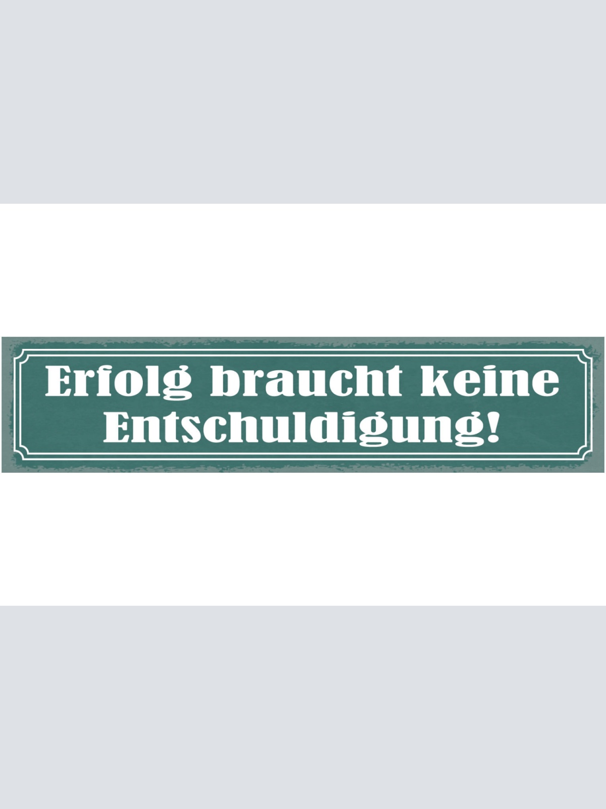 Schild Erfolg Braucht Keine Entschuldigung 46 x 10 Blech od. Holz 46 x 10