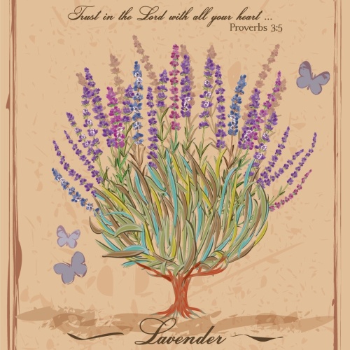 Nostalgie Schild Lavender Lavendel Spruch 12x18 / 20x30 / 30x40 Blech od.Holz