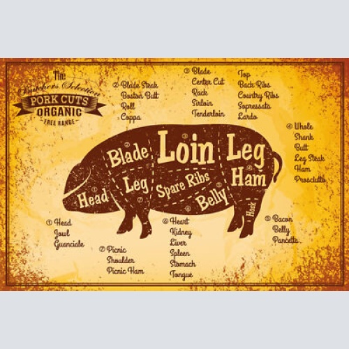 Nostalgie Schild Pork Cuts Schwein Diagramm 12x18 / 20x30 / 30x40 Blech od. Holz