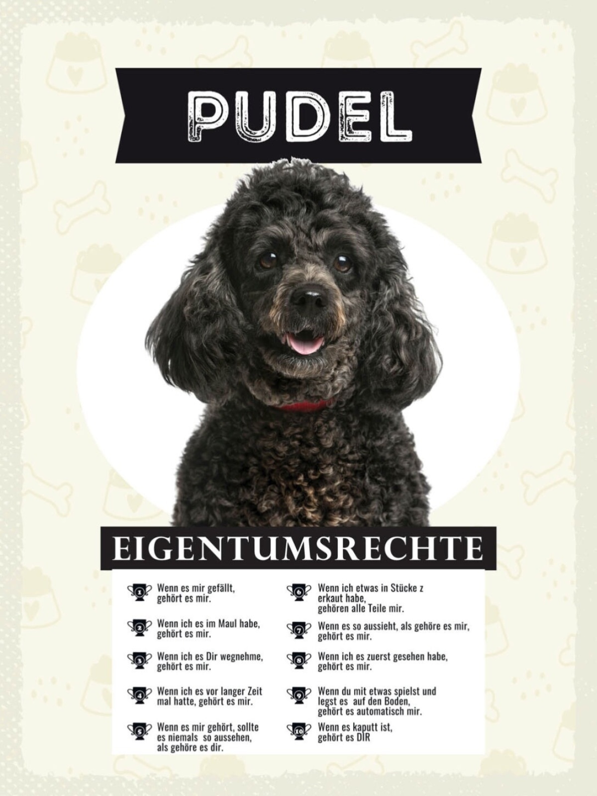 Schild Pudel Eigentumsrechte Hund Tier Liebe 12x18 20x30 30x40 Blech/Holz
