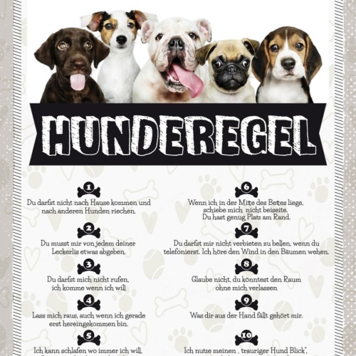 Schild Hunderegel Hund Haus Tier Liebe Zuhause 12x18 20x30 30x40 Blech/Holz