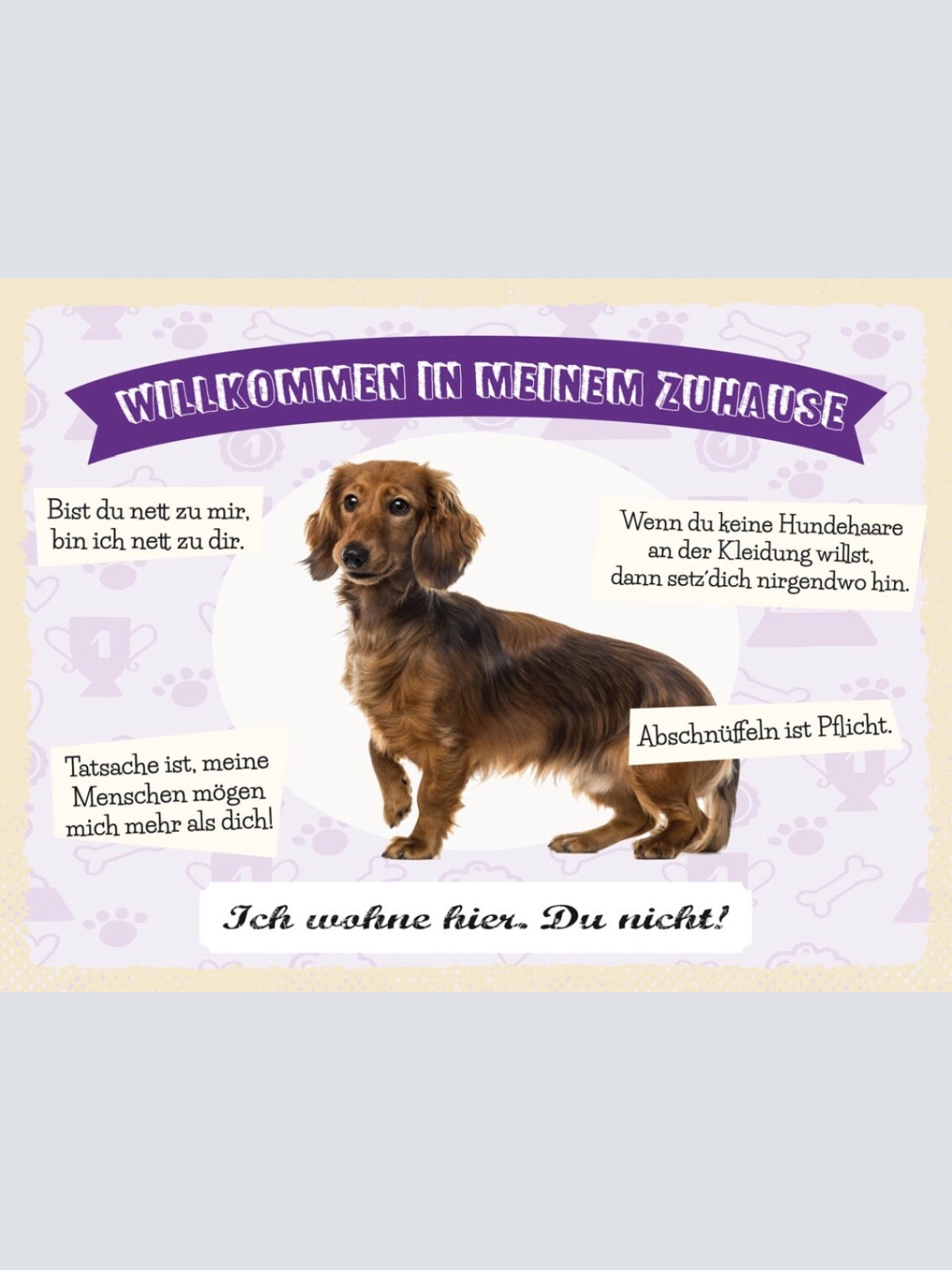 Schild Willkommen In Meinem Zuhause Dackel Hund 12x18 20x30 30x40 Blech/Holz