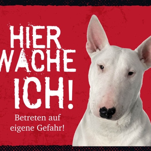 Schild Hier Wache Ich Bull Terrier Gefahr Hund Tier 12x18 20x30 30x40 Blech/Holz