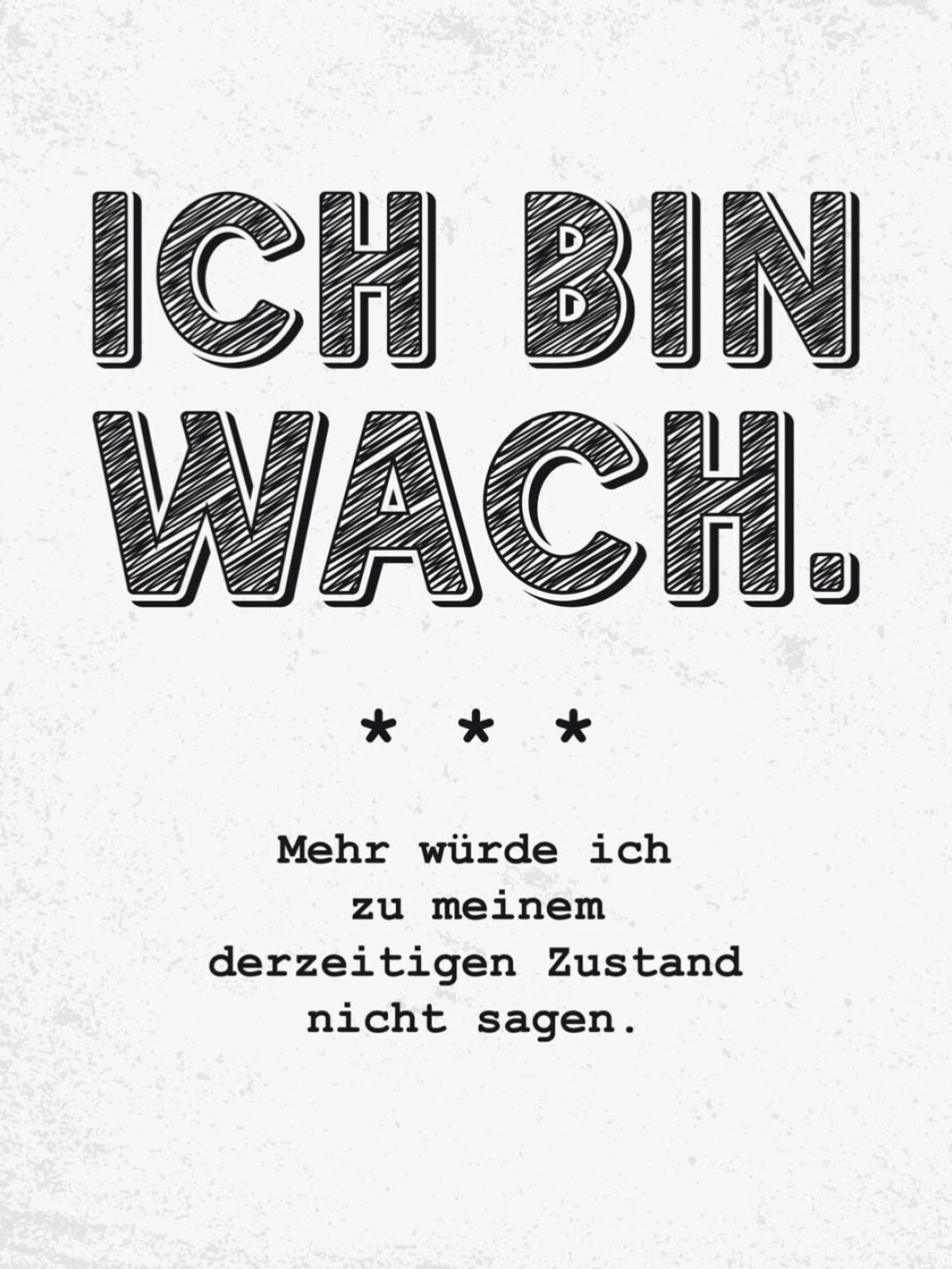 Schild Ich Bin Wach Derzeitigen Zustand Nicht Sagen 12x18 20x30 30x40 Blech/Holz