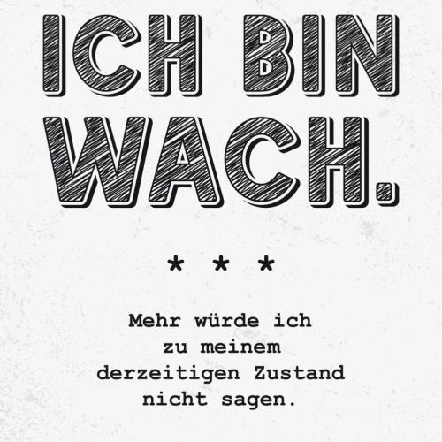 Schild Ich Bin Wach Derzeitigen Zustand Nicht Sagen 12x18 20x30 30x40 Blech/Holz