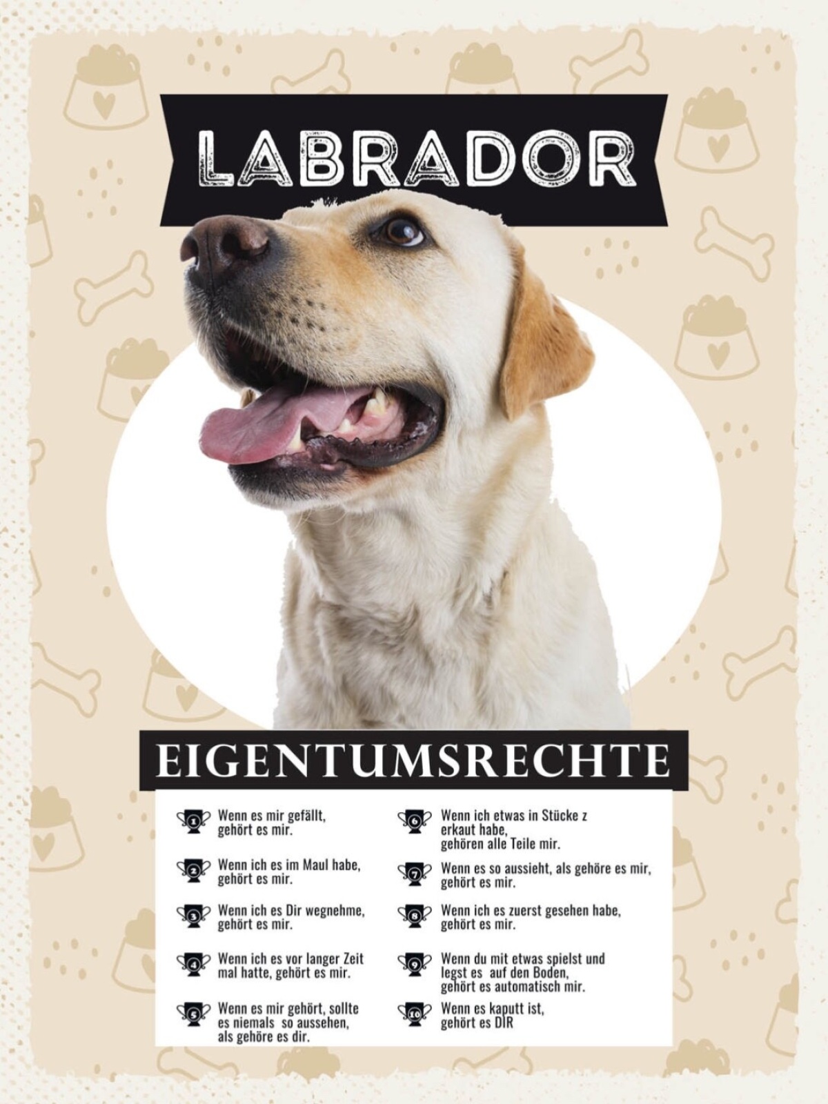 Schild Labrador Eigentumsrechte Hund Tier Liebe 12x18 20x30 30x40 Blech/Holz