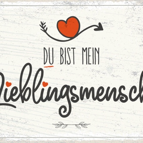 Schild Du Bist Mein Lieblings Mensch Liebe Freunde 12x18 20x30 30x40 Blech/Holz