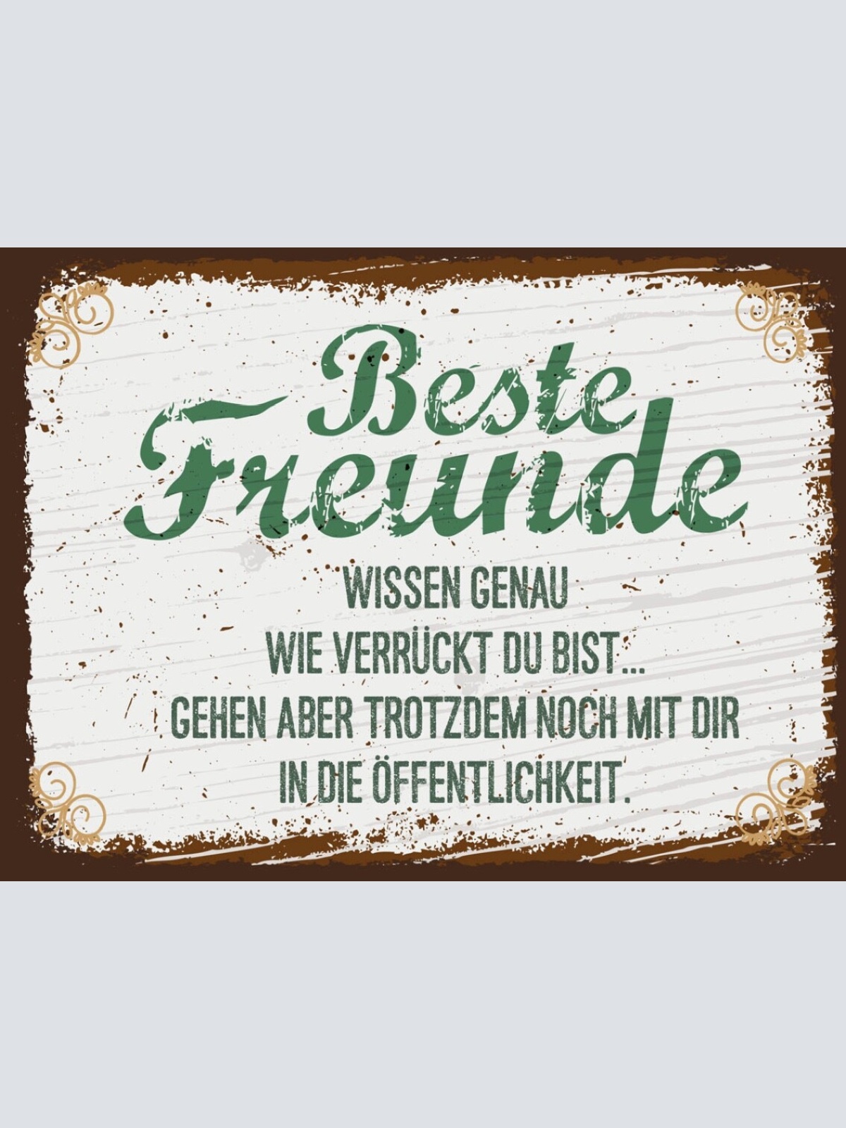 Schild Beste Freunde Wissen Wie Verrückt Du Bist 12x18 20x30 30x40 Blech/Holz