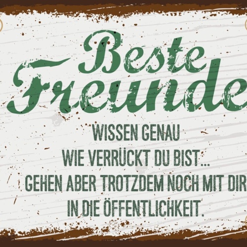 Schild Beste Freunde Wissen Wie Verrückt Du Bist 12x18 20x30 30x40 Blech/Holz