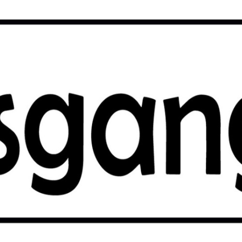 Schild Ausgang Hinaus Exit Geschäft Lokal Haus Gebäude 27 x 10 Blech od. Holz