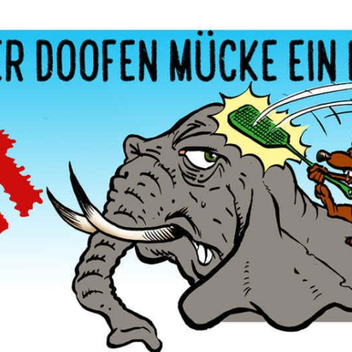 Schild Bevor Aus Einer Doofen Mücke Ein Elefant Wird Mach Ich Sie Lieber Platt