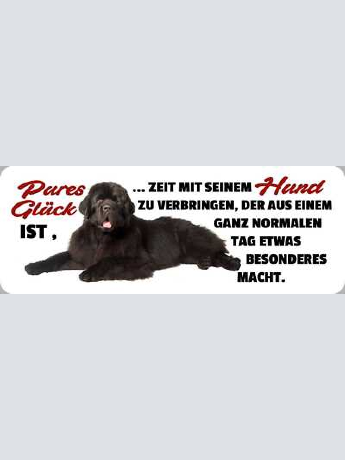 Schild pures glück zeit mit seinem hund zu verbringen normalen tag besonderes