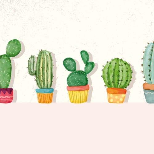 Schild Kaktus Kakteen Pflanzen Gewächs Topf Töpfe 12x18 20x30 30x40 Blech/Holz